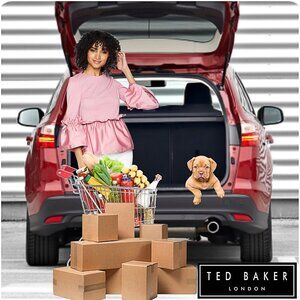 Ted Baker London Pink Blouse Ruffle Pleated Waist Crop Flared Sleeve